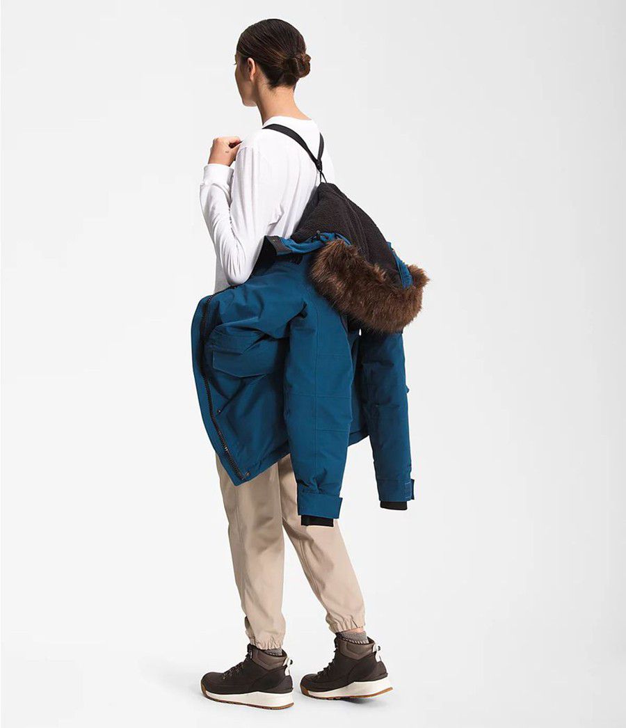 Dámské Parkas The North Face Expedition Mcmurdo Blankyt | OUVSLTB-41