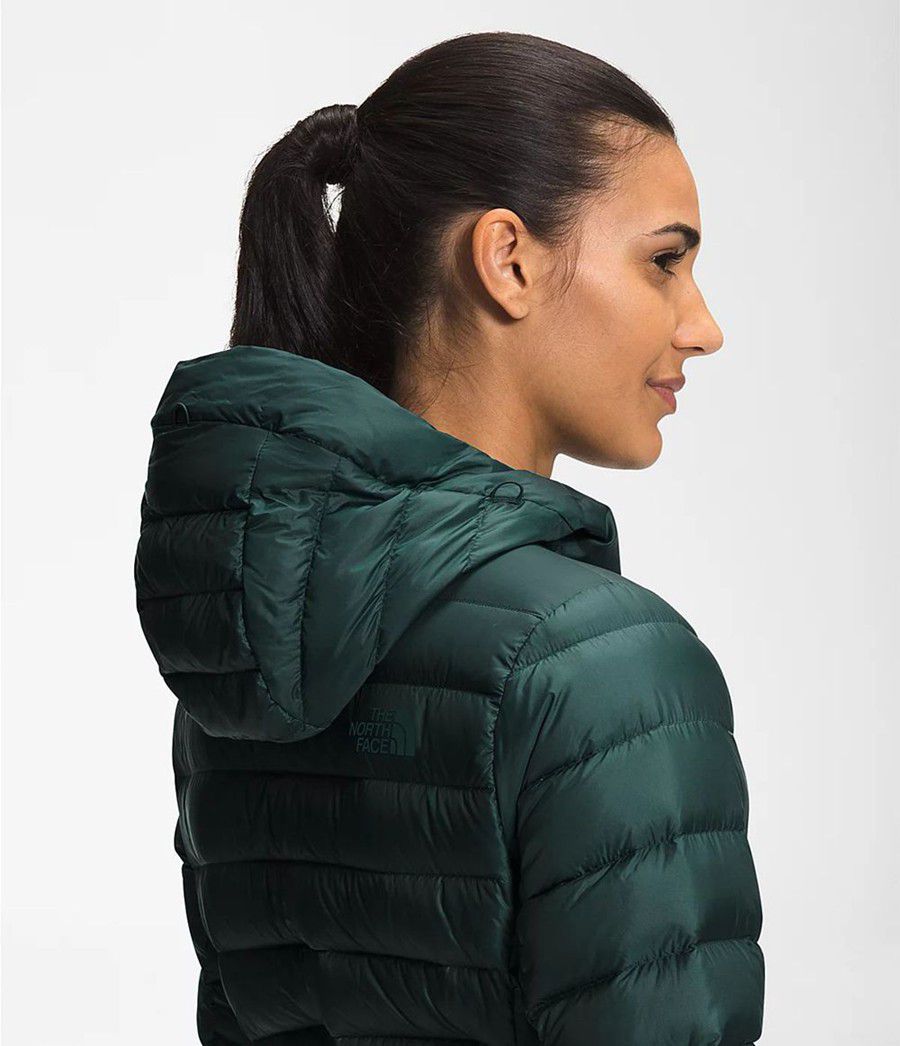 Dámské Parkas The North Face Transverse Belted Tmavě Zelene | BALSIHK-25