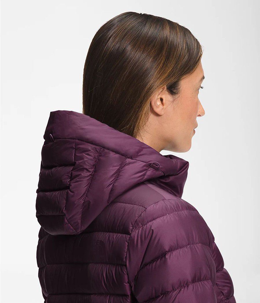 Dámské Parkas The North Face Transverse Belted Fialové | AMIFCHD-91