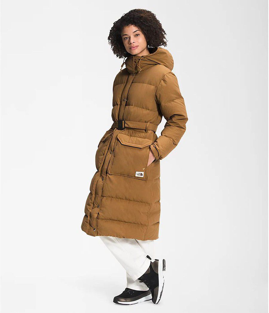 Dámské Péřové Bundy The North Face Sierra Long Hnědé | OMISUDW-32