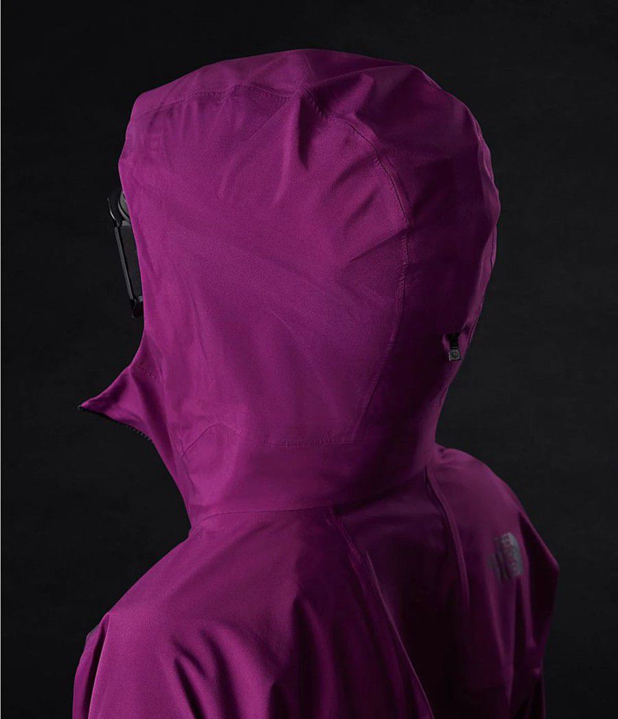 Dámské Rainwear The North Face Freethinker Futurelight Fialové | GMNYLTE-61