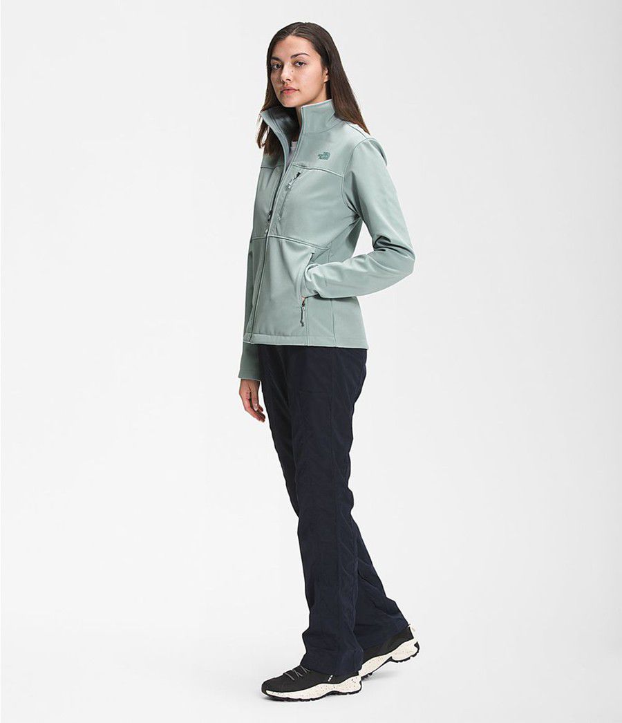Dámské Softshellová Bunda The North Face Apex Bionic Blankyt | NWSHGIU-35