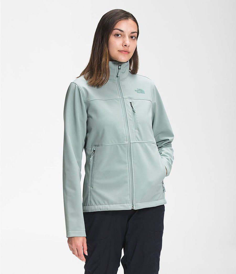 Dámské Softshellová Bunda The North Face Apex Bionic Blankyt | NWSHGIU-35