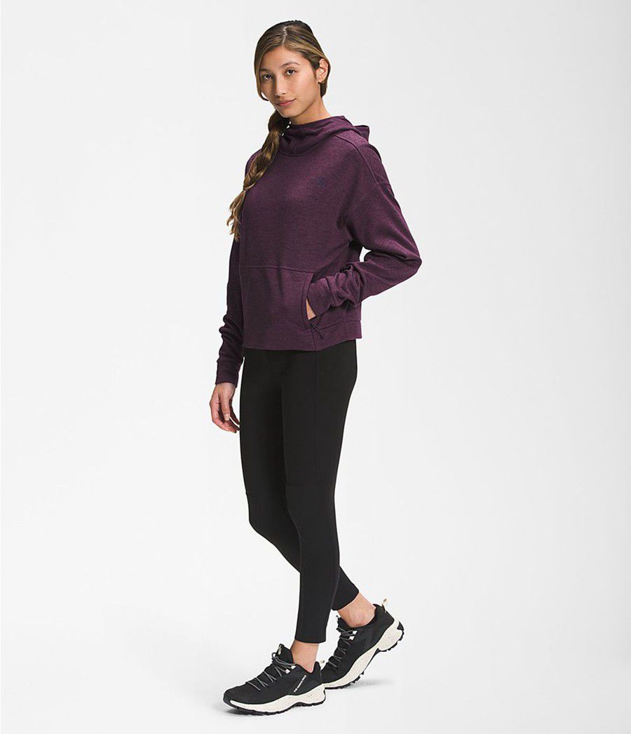Dámské Softshellová Bunda The North Face Canyonlands Pullover Crop Fialové | BTFYIUK-27