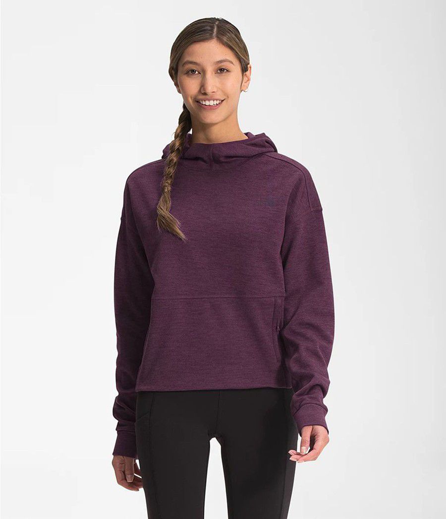 Dámské Softshellová Bunda The North Face Canyonlands Pullover Crop Fialové | BTFYIUK-27
