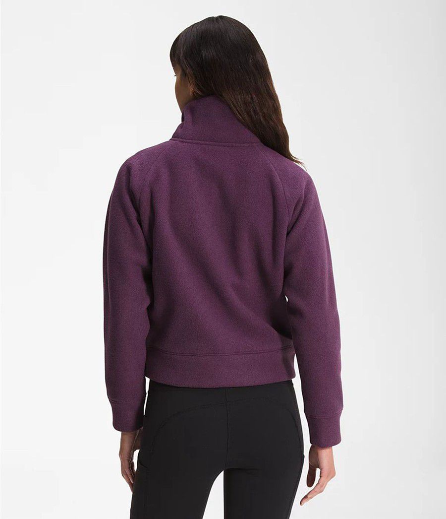 Dámské Softshellová Bunda The North Face City Standard Micro-Fleece ¼ Zip Fialové | BDTXPZE-96
