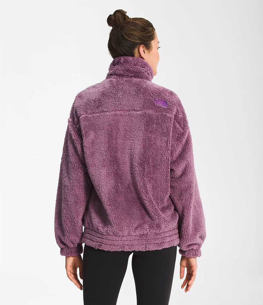 Dámské Softshellová Bunda The North Face Osito Expedition Full Zip Fialové | GLIRKMF-26
