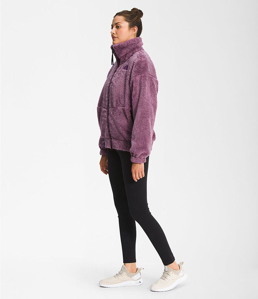 Dámské Softshellová Bunda The North Face Osito Expedition Full Zip Fialové | GLIRKMF-26