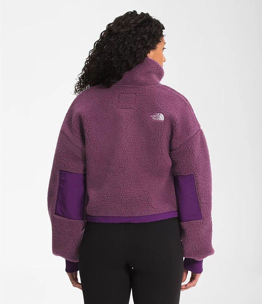Dámské Softshellová Bunda The North Face Platte Sherpa ¼ Zip Fialové | XNWRMKD-31