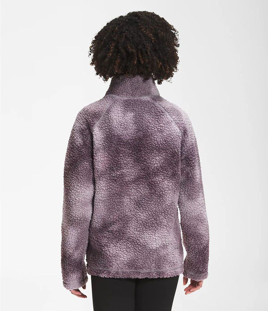 Dámské Softshellová Bunda The North Face Printed Ridge Fleece Full Zip Šedé | LFZKSHN-96