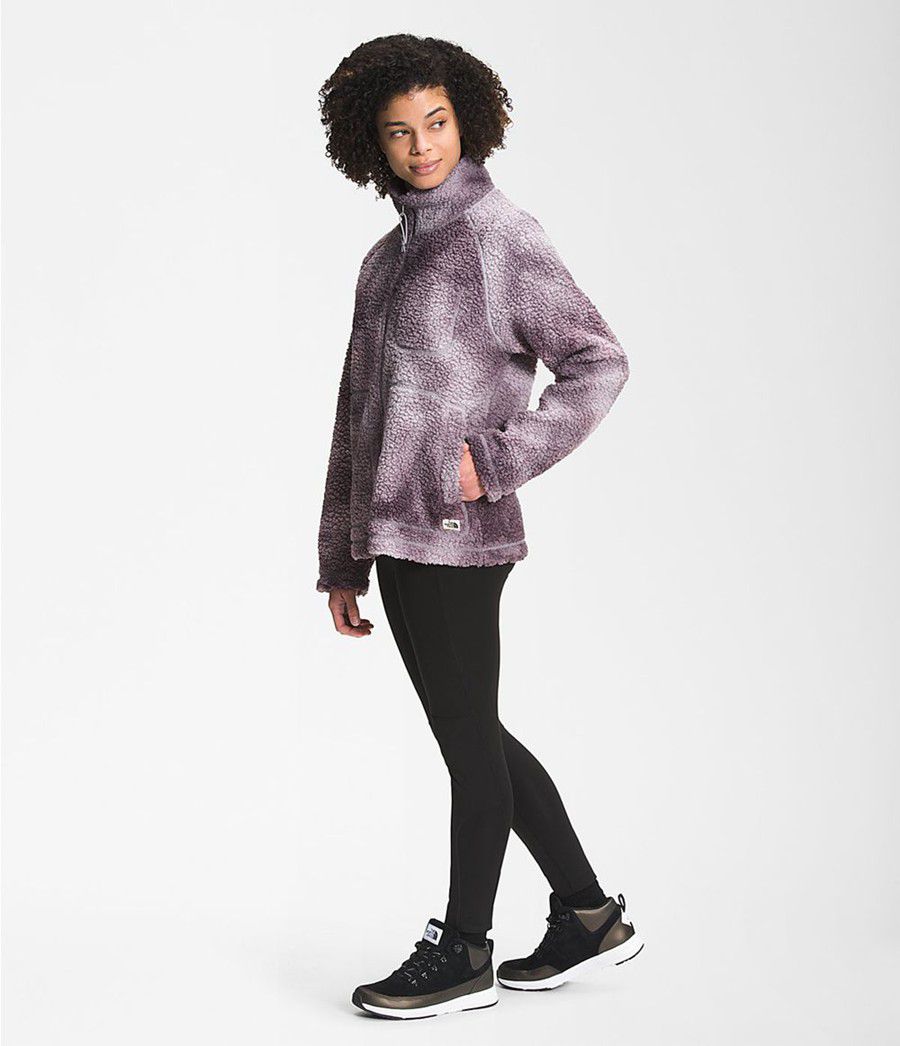 Dámské Softshellová Bunda The North Face Printed Ridge Fleece Full Zip Šedé | LFZKSHN-96