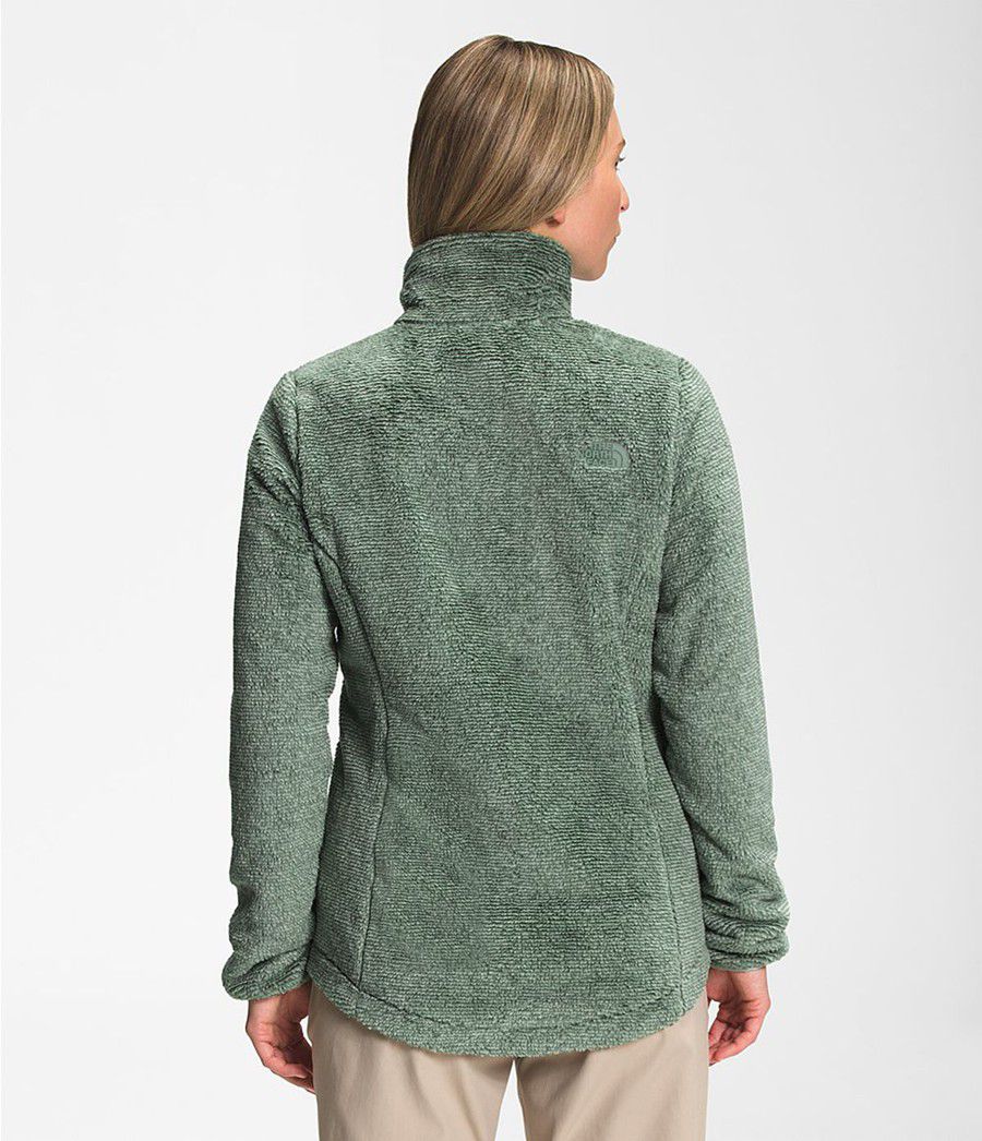 Dámské Softshellová Bunda The North Face Printed Multi-Color Osito Zelene | SPERYBT-15