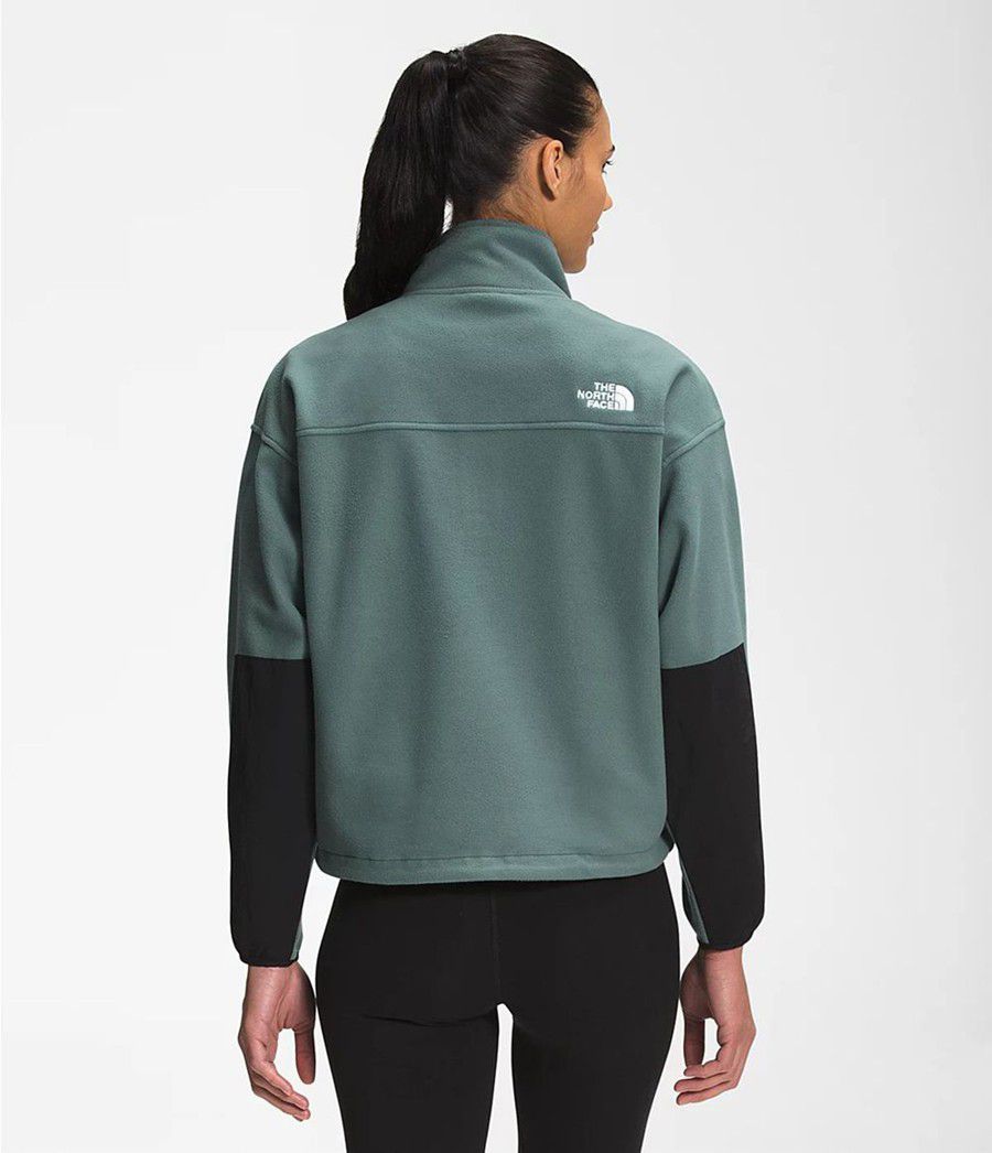 Dámské Softshellová Bunda The North Face Tka Kataka ¼ Zip Fleece Zelene | HOTYCUP-16
