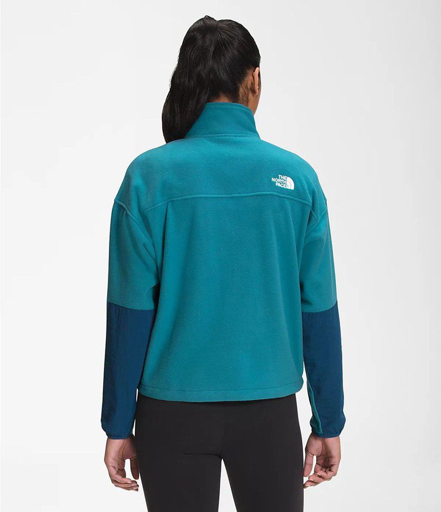 Dámské Softshellová Bunda The North Face Tka Kataka ¼ Zip Fleece Blankyt | XCUJPFN-97
