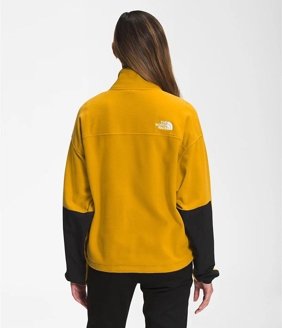 Dámské Softshellová Bunda The North Face Tka Kataka ¼ Zip Fleece Žluté | NYKEJVS-01