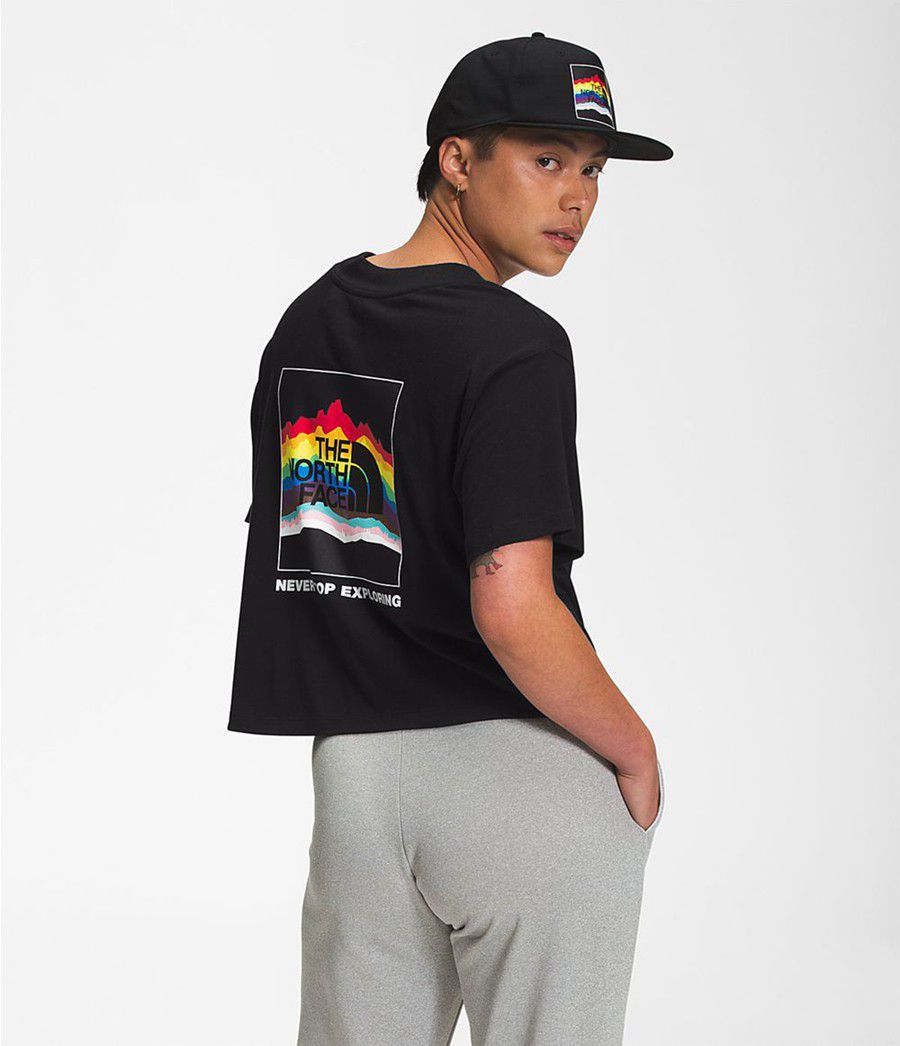 Dámské T-Shirts The North Face Pride Short Sleeve Crop Černé | EKMLPCO-09