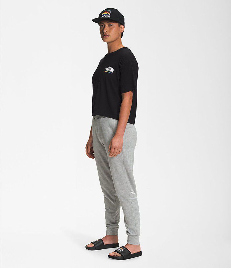 Dámské T-Shirts The North Face Pride Short Sleeve Crop Černé | EKMLPCO-09