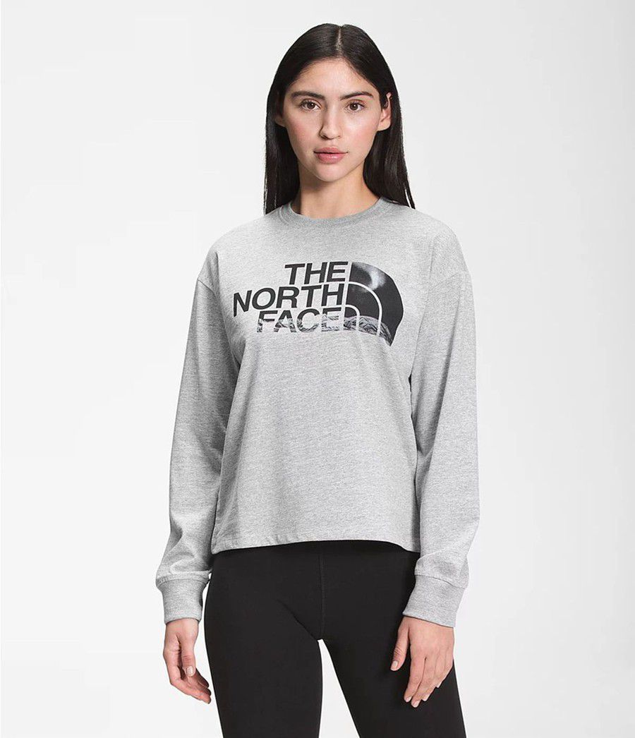 Dámské T-Shirts The North Face Recycled Expedition Graphic Long Sleeve Světle Šedé | QCTFDYX-26