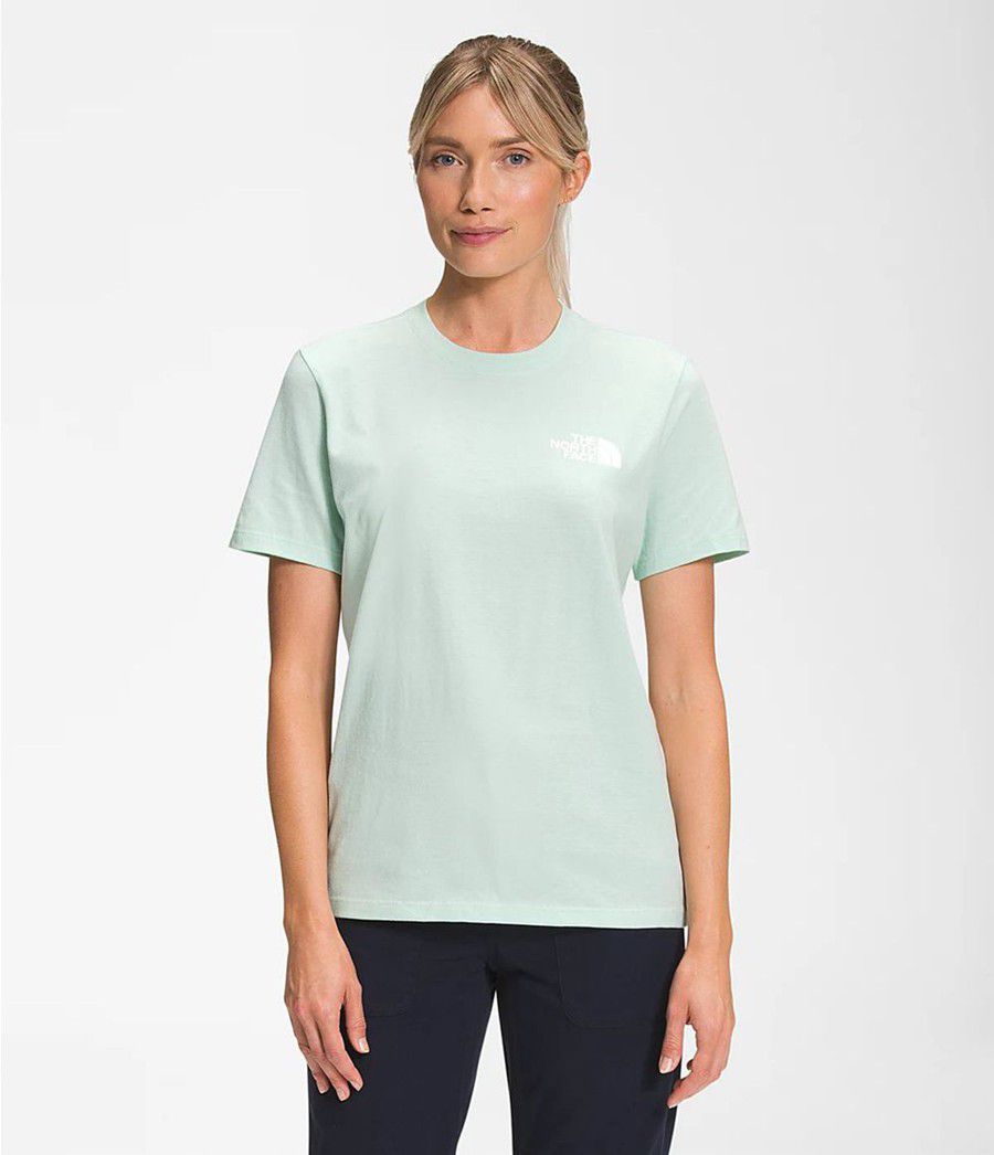 Dámské T-Shirts The North Face Short Sleeve Walls Tyrkysové | BURKAHO-34