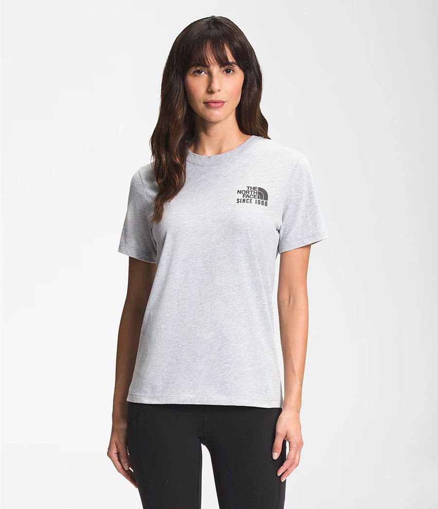 Dámské T-Shirts The North Face Short Sleeve Mountain Peace Světle Šedé | QMPSCDH-24