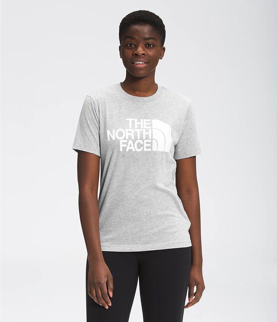 Dámské T-Shirts The North Face Short Sleeve Half Dome Cotton Světle Šedé | HZJWLUM-39