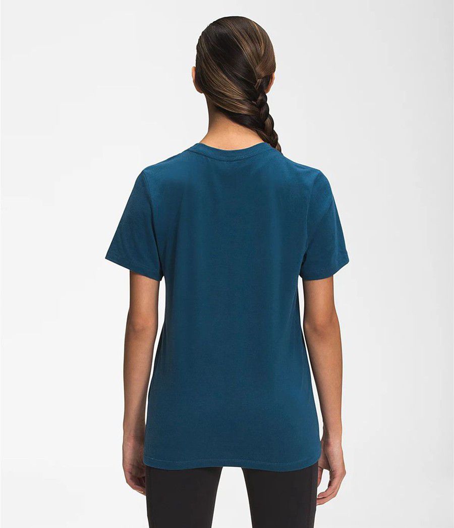 Dámské T-Shirts The North Face Short Sleeve Half Dome Cotton Blankyt | PIUCTXA-67