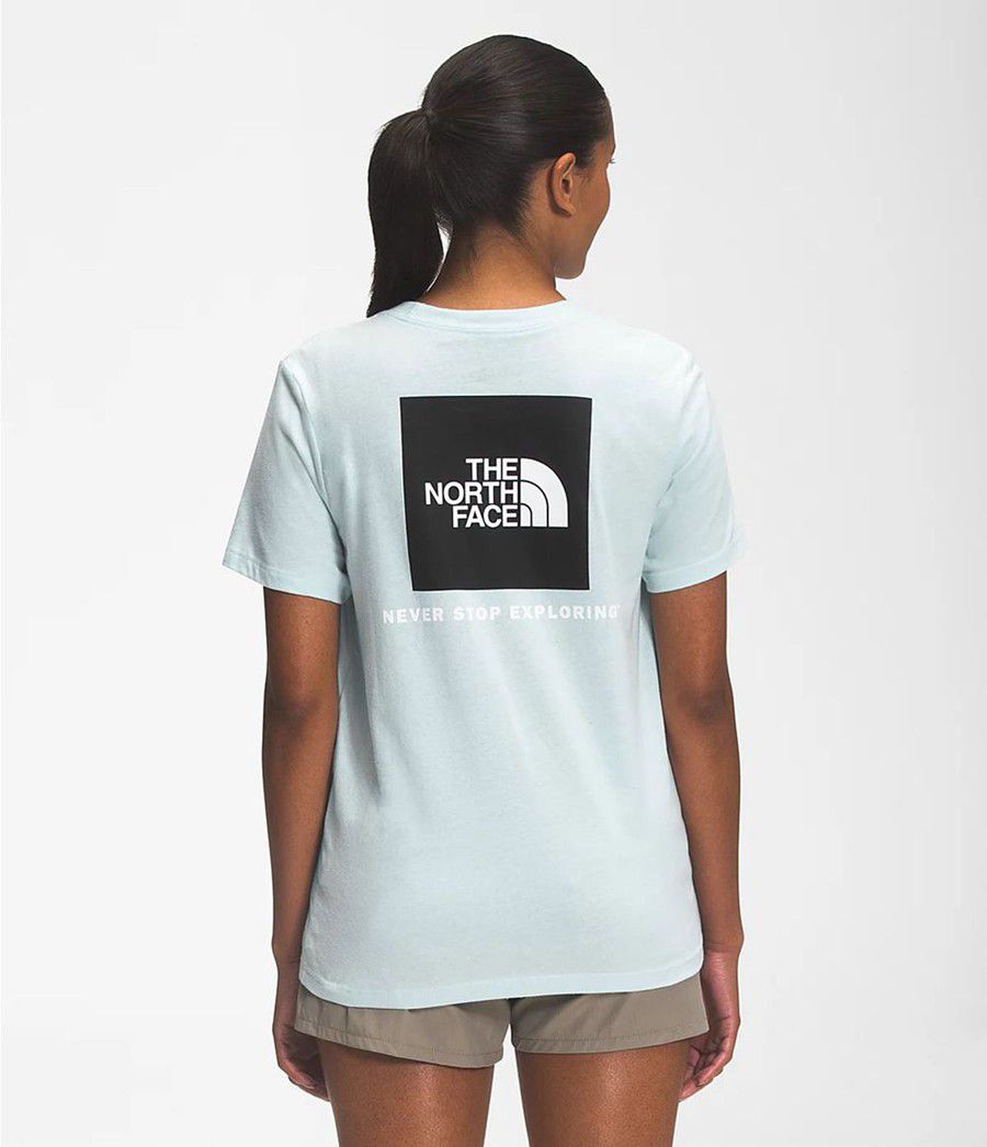 Dámské T-Shirts The North Face Short Sleeve Box Nse Blankyt | EHPTDVF-87