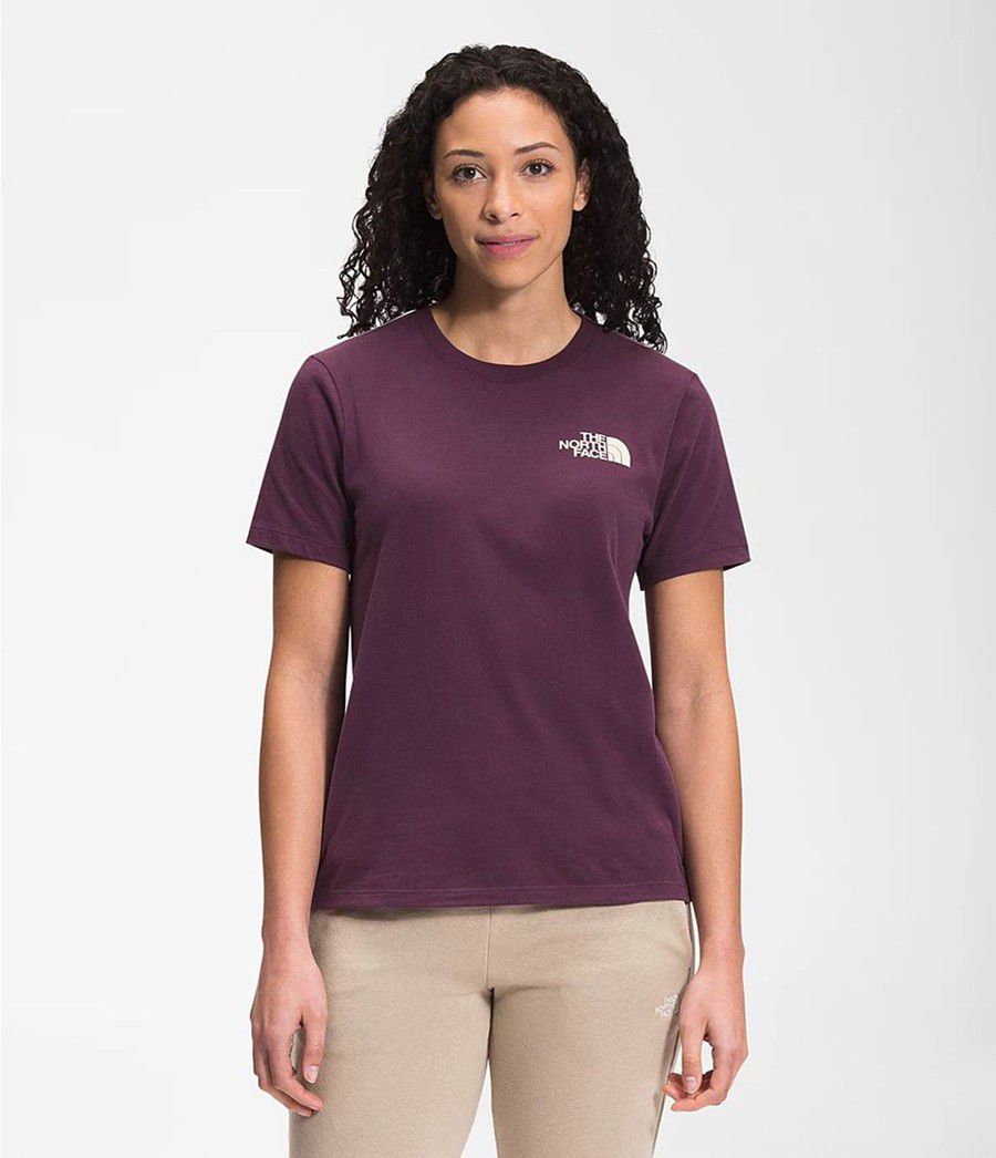 Dámské T-Shirts The North Face Short Sleeve Box Nse Fialové | ZTDVCFG-90