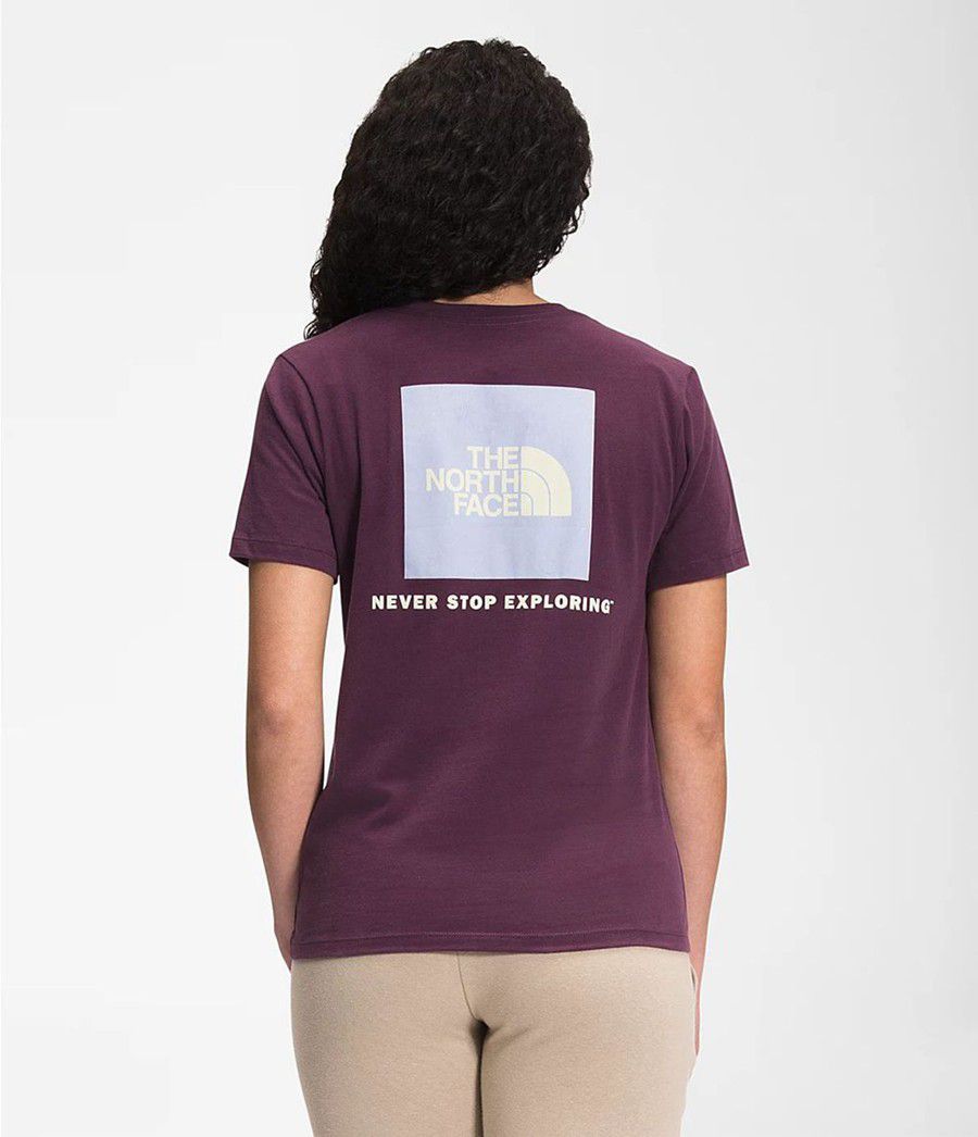 Dámské T-Shirts The North Face Short Sleeve Box Nse Fialové | ZTDVCFG-90
