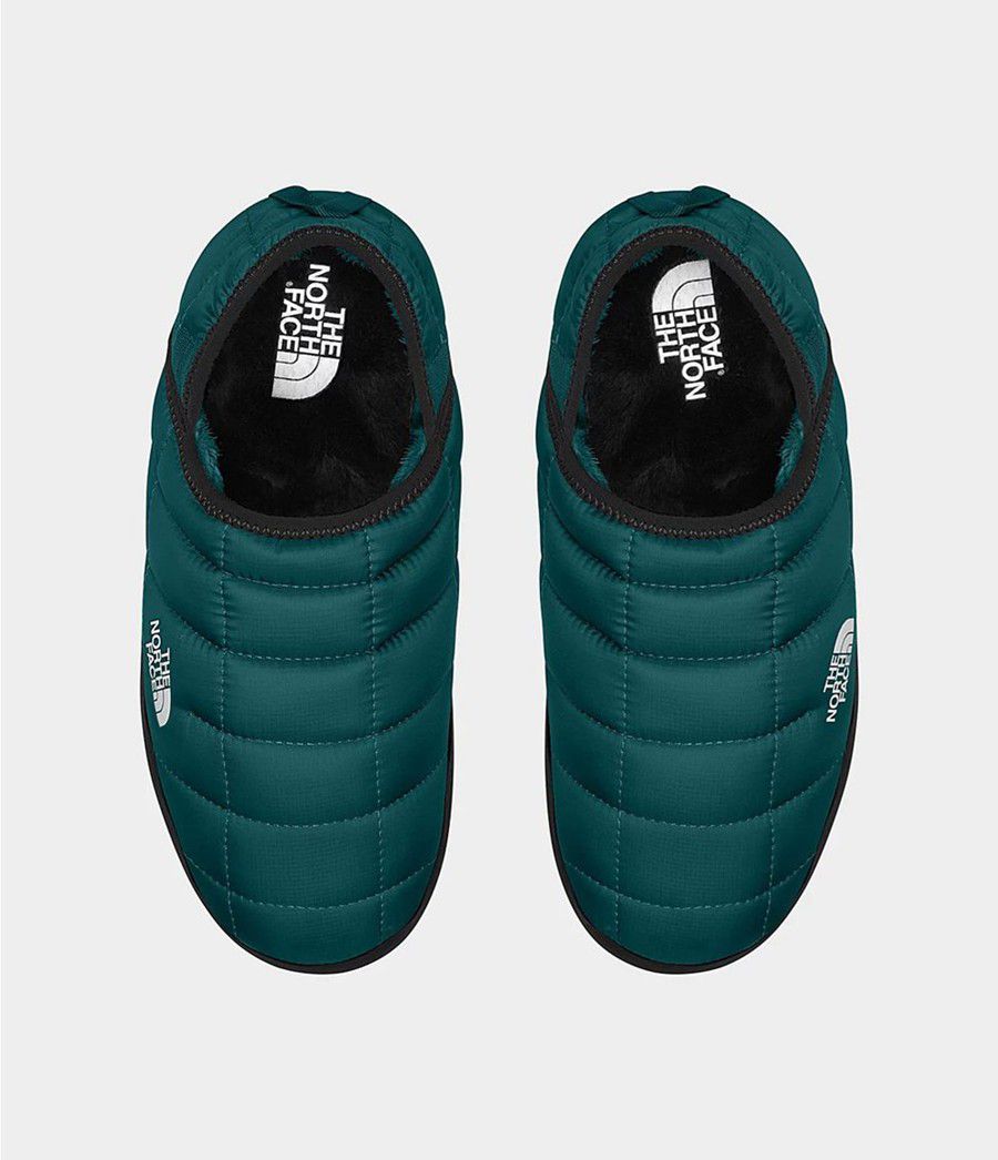 Dámské Tenisky The North Face Thermoball Traction Mule V Blankyt | ISNZHUE-28