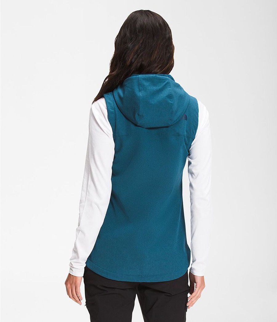 Dámské Vests The North Face Shelbe Raschel Hooded Blankyt | QANZWVG-56