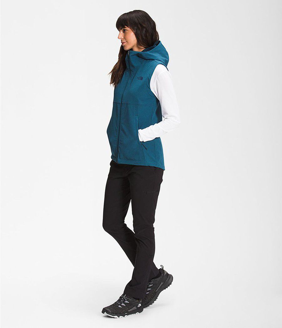 Dámské Vests The North Face Shelbe Raschel Hooded Blankyt | QANZWVG-56