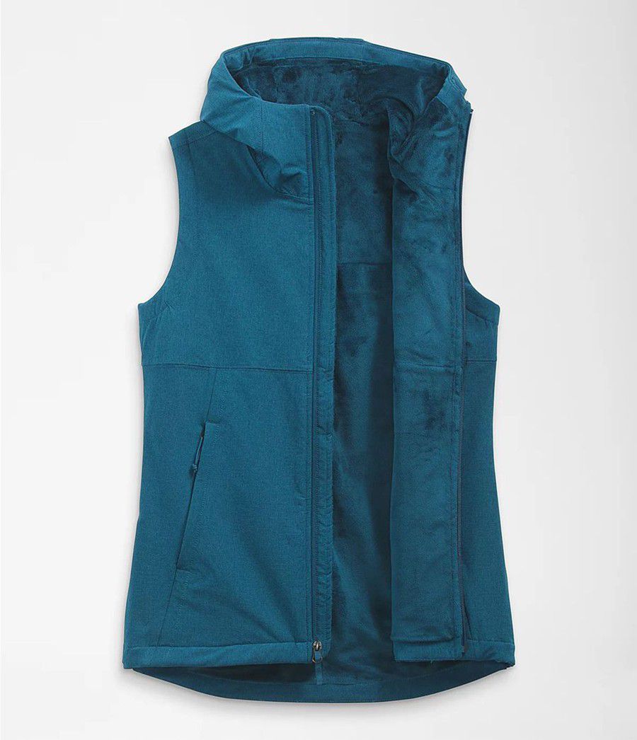 Dámské Vests The North Face Shelbe Raschel Hooded Blankyt | QANZWVG-56