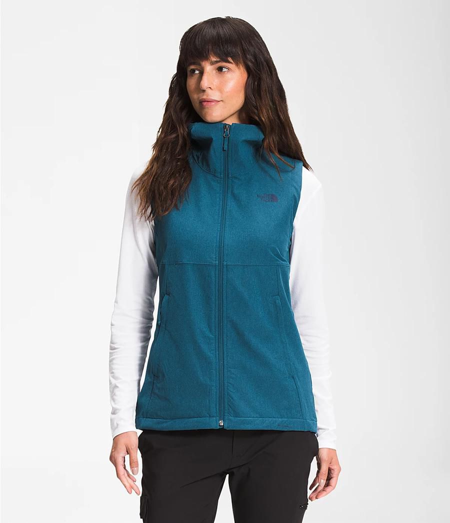 Dámské Vests The North Face Shelbe Raschel Hooded Blankyt | QANZWVG-56