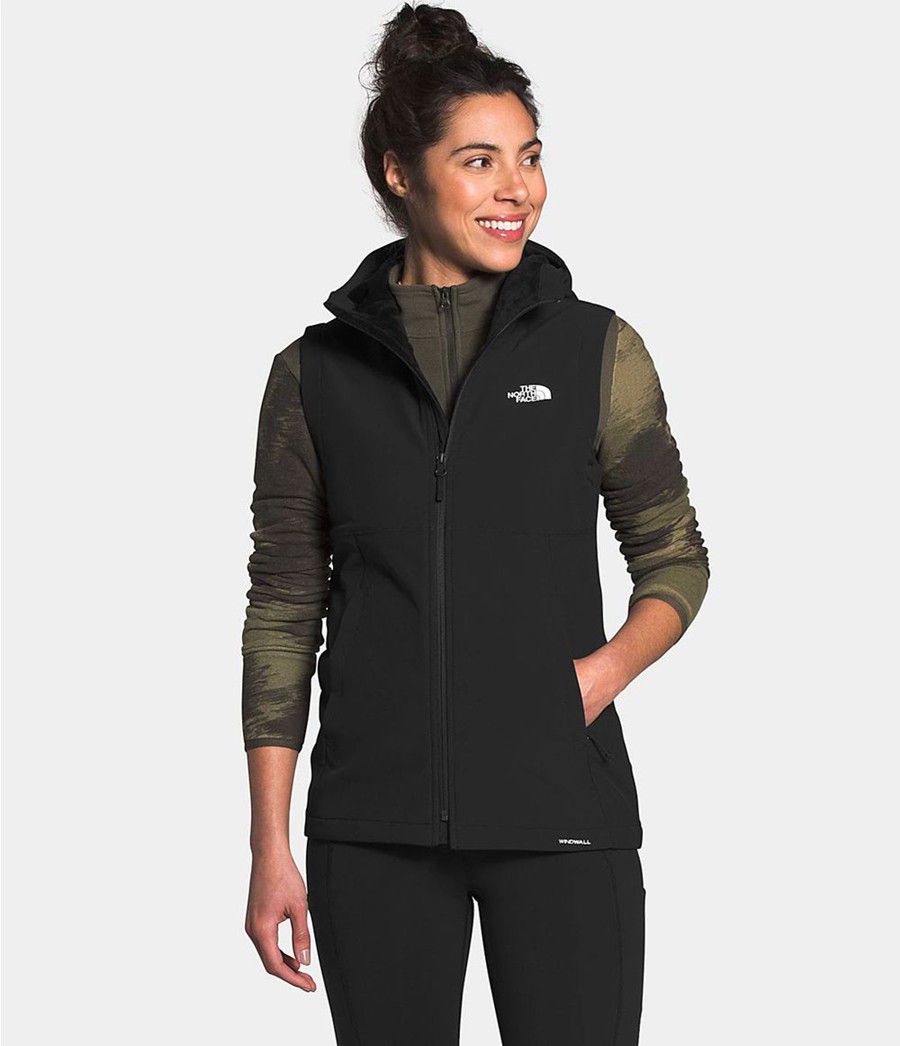 Dámské Vests The North Face Shelbe Raschel Hooded Černé | LPDWGYC-23