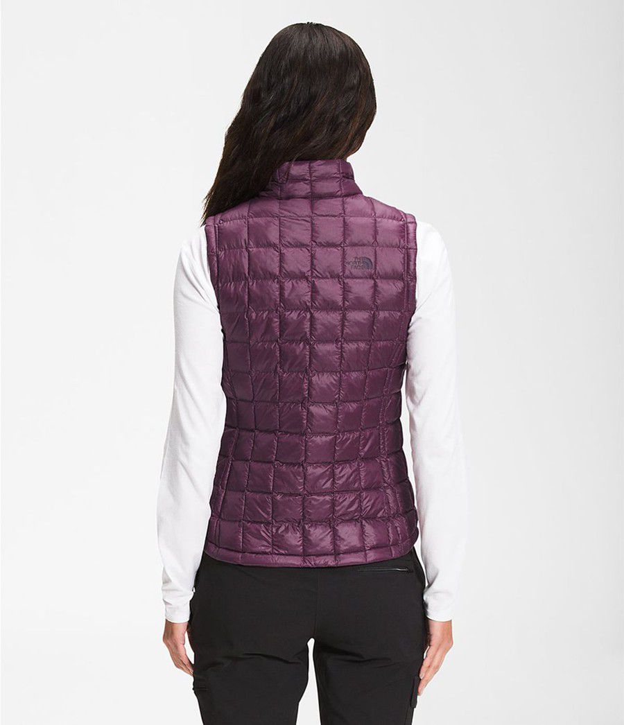 Dámské Vests The North Face Thermoball Eco 2.0 Fialové | GVYZSQX-58