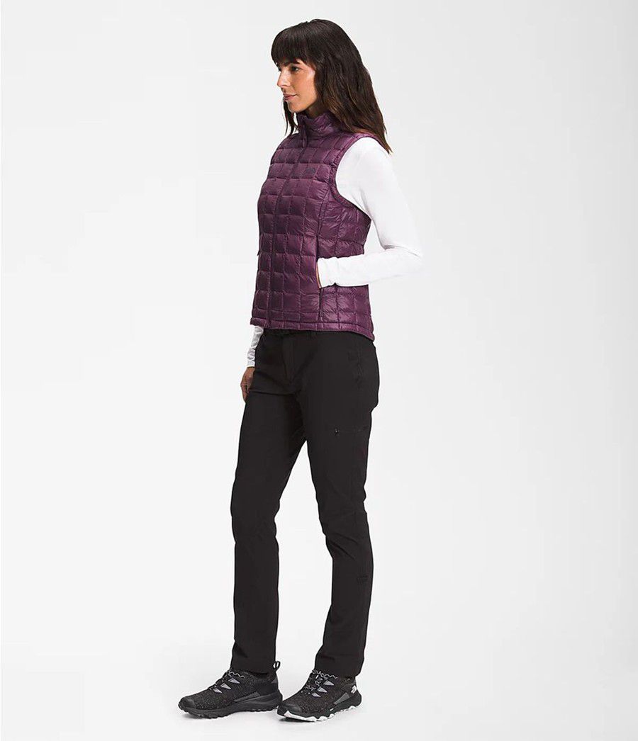 Dámské Vests The North Face Thermoball Eco 2.0 Fialové | GVYZSQX-58
