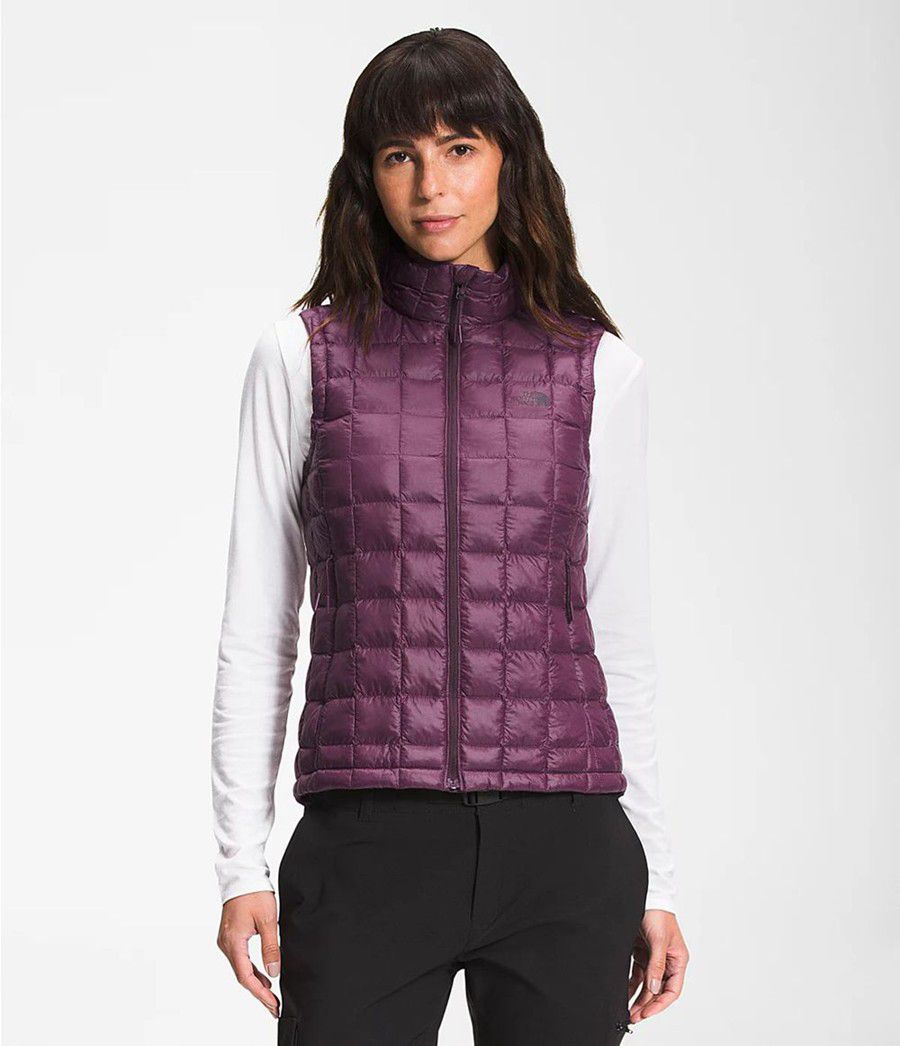 Dámské Vests The North Face Thermoball Eco 2.0 Fialové | GVYZSQX-58