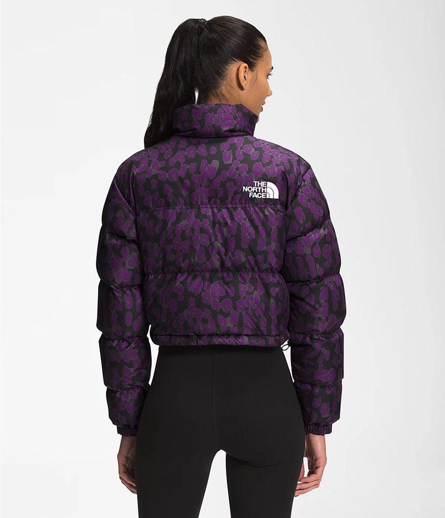 Dámské Zateplené Bundy The North Face Printed Nuptse Short Fialové | AWNILJC-74