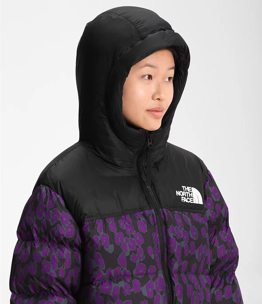 Dámské Zateplené Bundy The North Face Printed Nuptse Belted Mid Fialové | KISZRHN-57