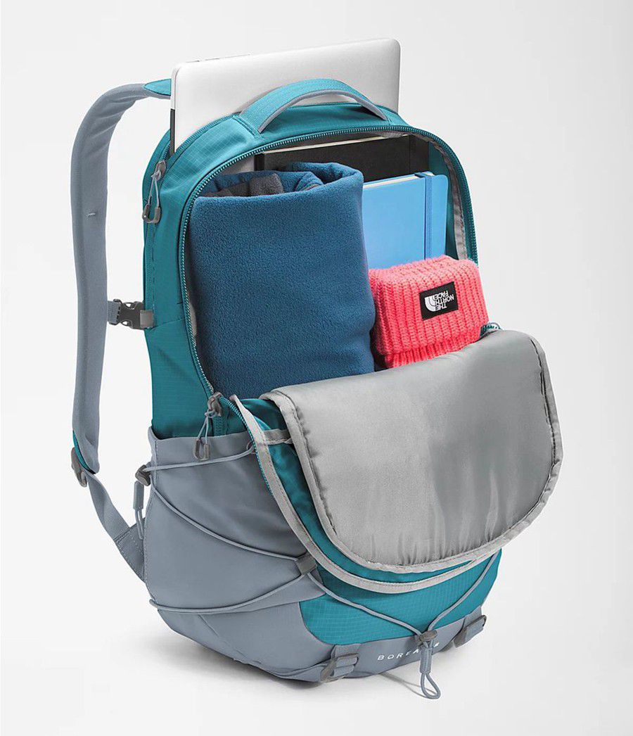 Dětské Batoh The North Face Borealis Blankyt | ESMRDKX-39