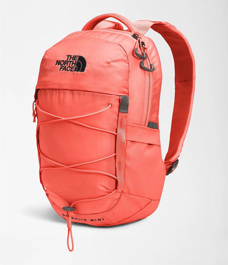 Dětské Batoh The North Face Borealis Mini Oranžové | OWARBSL-71