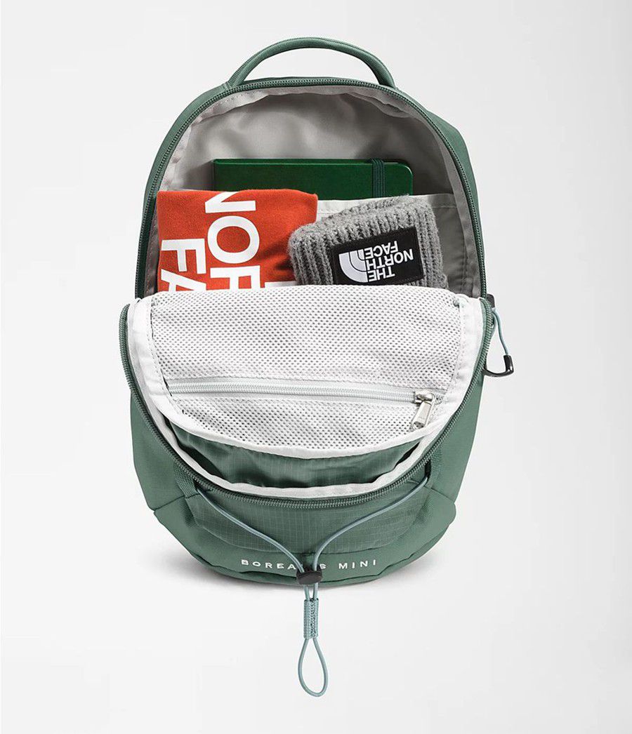 Dětské Batoh The North Face Borealis Mini Zelene | ZJMDVOG-58