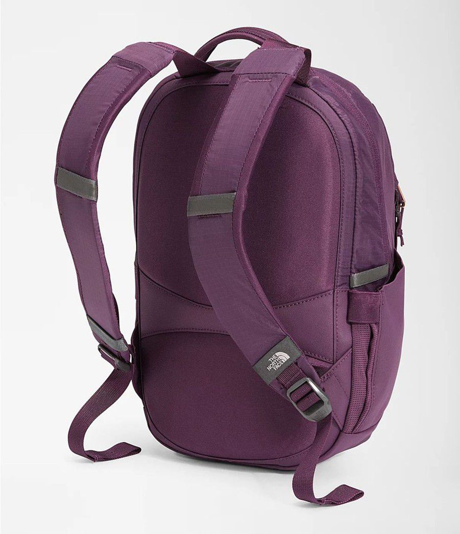 Dětské Batoh The North Face Borealis Mini Fialové | JTFSDOI-75