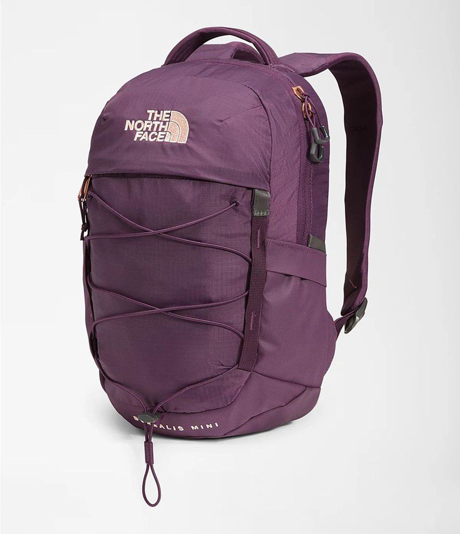Dětské Batoh The North Face Borealis Mini Fialové | JTFSDOI-75