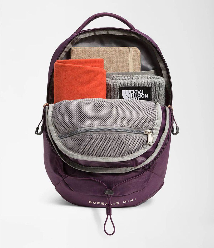 Dětské Batoh The North Face Borealis Mini Fialové | JTFSDOI-75