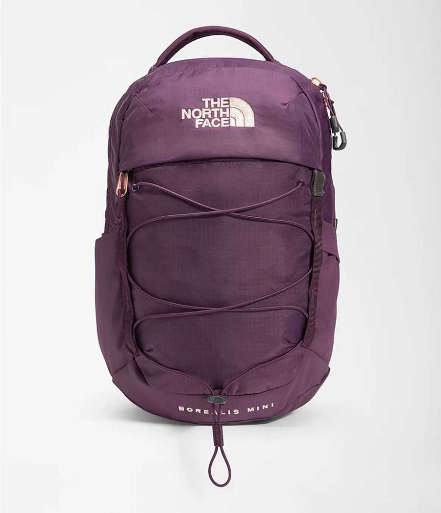 Dětské Batoh The North Face Borealis Mini Fialové | JTFSDOI-75
