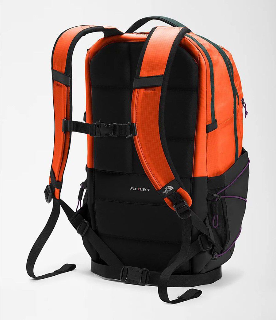 Dětské Batoh The North Face Borealis Oranžové | THXBJKW-24