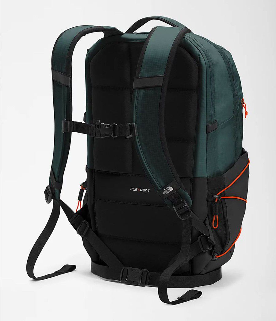 Dětské Batoh The North Face Borealis Tmavě Zelene | EYJKXGR-37