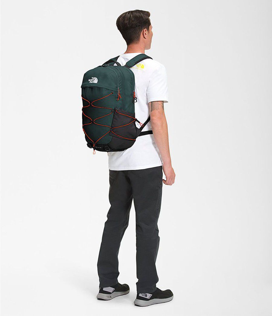 Dětské Batoh The North Face Borealis Tmavě Zelene | EYJKXGR-37